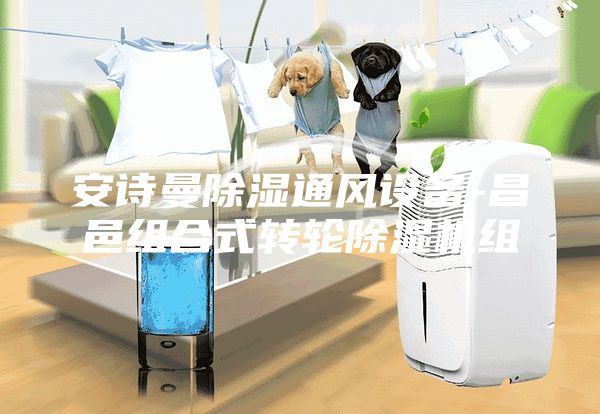 安诗曼除湿通风设备-昌邑组合式转轮除湿机组
