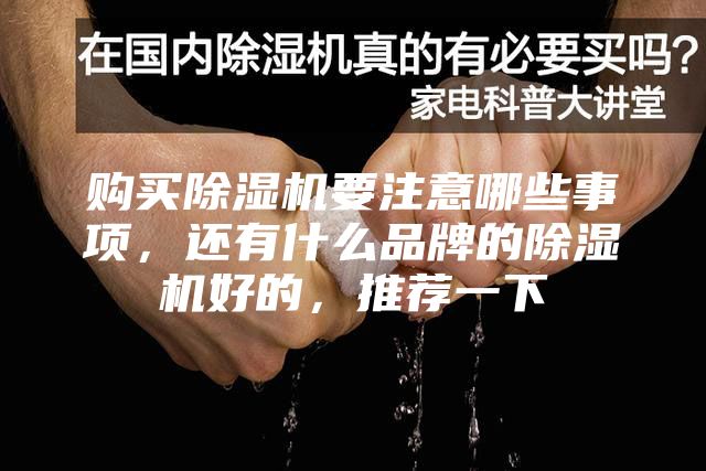 购买除湿机要注意哪些事项，还有什么品牌的除湿机好的，推荐一下
