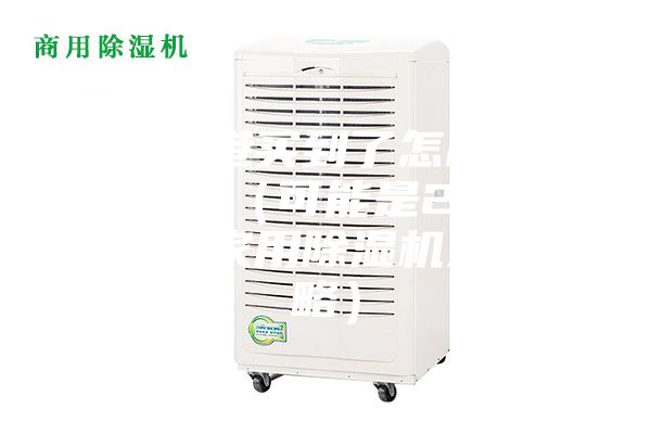 我从香港买到了怎样的除湿机？（可能是21年最值得的家用除湿机选购攻略）