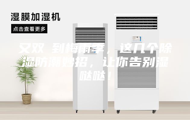 又双叒到梅雨季，这几个除湿防潮妙招，让你告别湿哒哒！