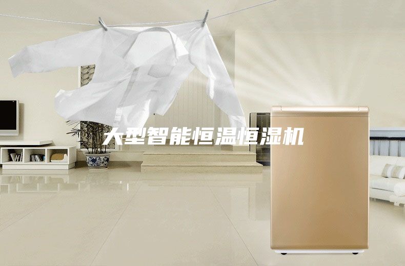 大型智能恒温恒湿机