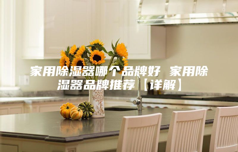 家用除湿器哪个品牌好 家用除湿器品牌推荐【详解】