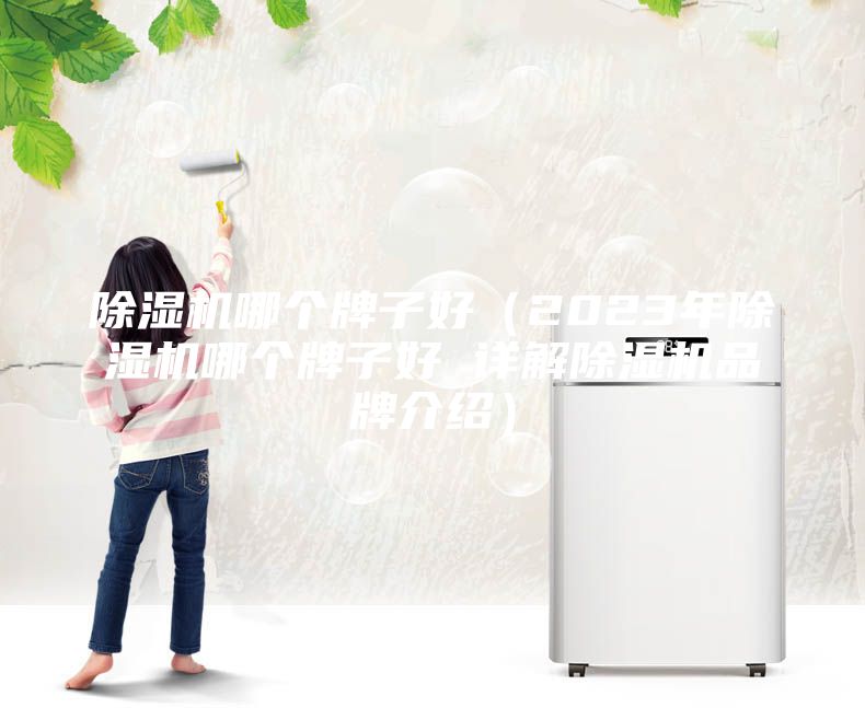 除湿机哪个牌子好（2023年除湿机哪个牌子好 详解除湿机品牌介绍）
