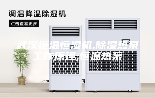 武汉恒温恒湿机,除湿热泵工作原理,恒温热泵