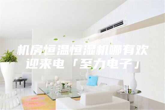 机房恒温恒湿机哪有欢迎来电「至力电子」