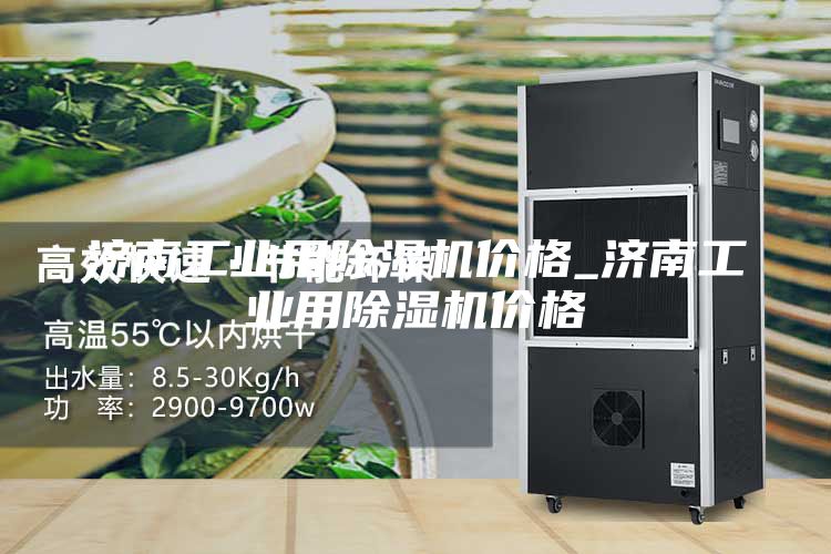 济南工业用除湿机价格_济南工业用除湿机价格