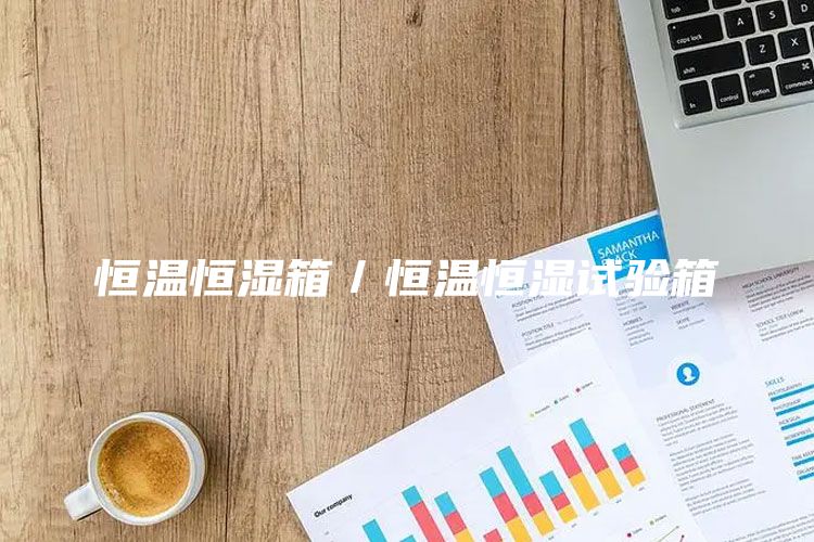 恒温恒湿箱／恒温恒湿试验箱