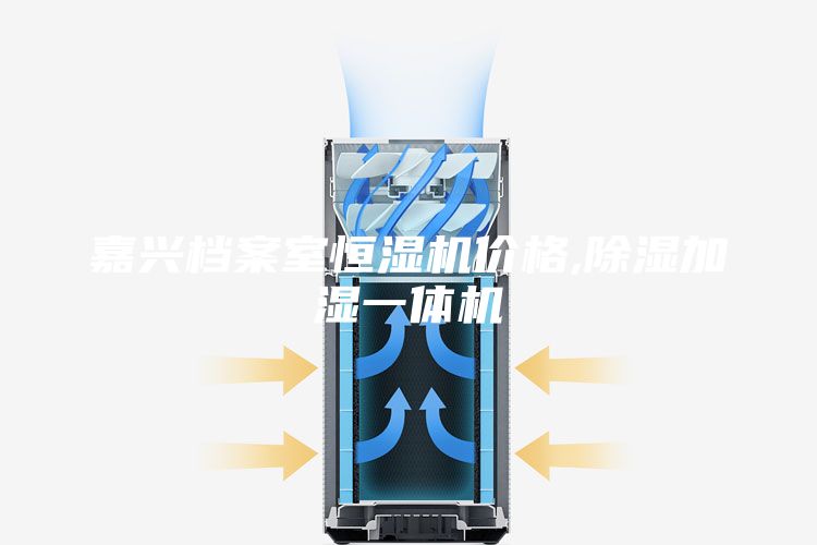 嘉兴档案室恒湿机价格,除湿加湿一体机