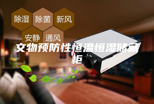文物预防性恒温恒湿储藏柜