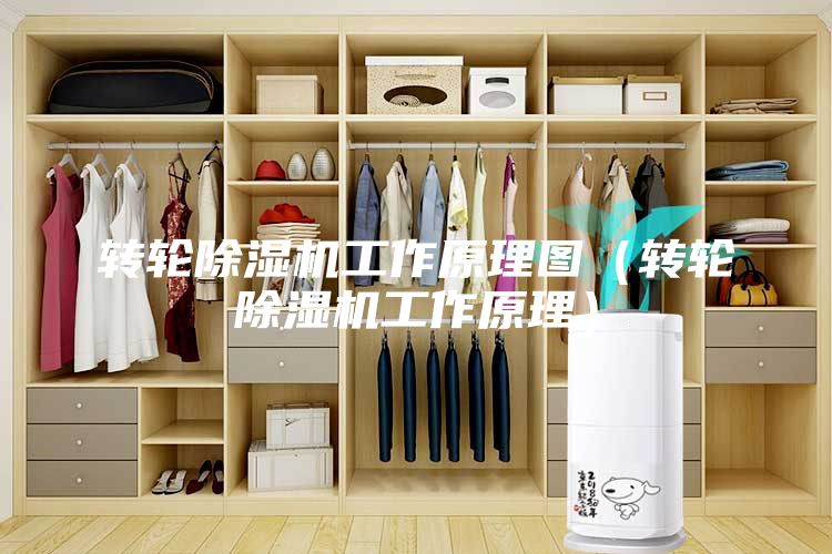 转轮除湿机工作原理图（转轮除湿机工作原理）