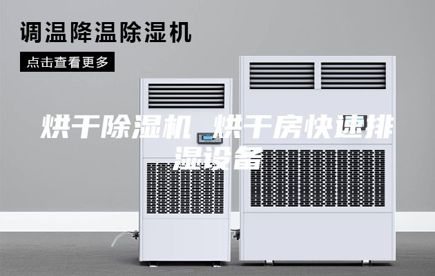 烘干除湿机 烘干房快速排湿设备