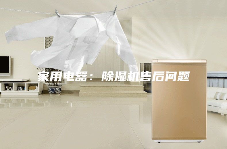 家用电器：除湿机售后问题