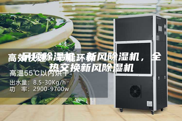 吊顶除湿机，新风除湿机，全热交换新风除湿机