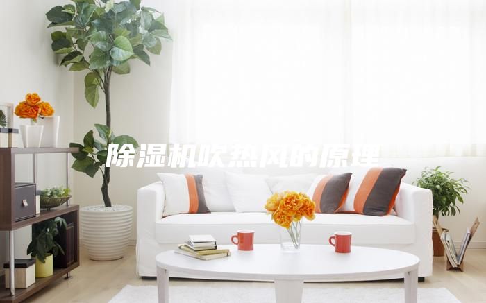 除湿机吹热风的原理
