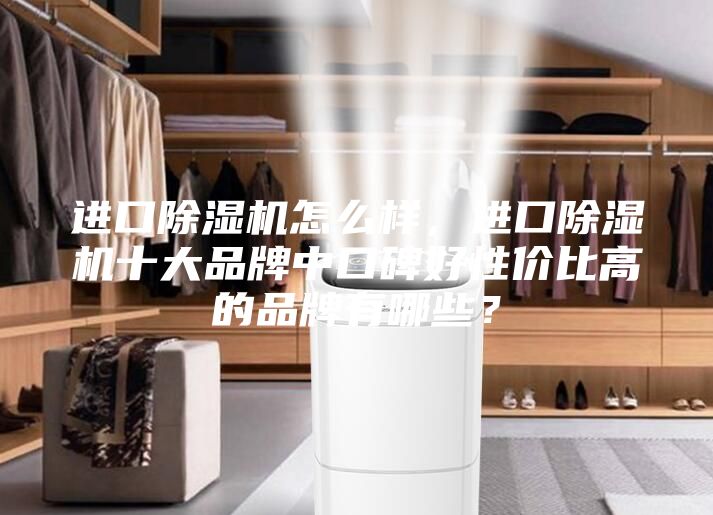 进口除湿机怎么样，进口除湿机十大品牌中口碑好性价比高的品牌有哪些？