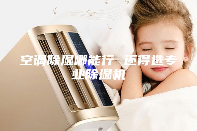 空调除湿哪能行 还得选专业除湿机