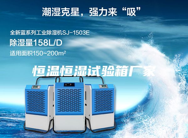 恒温恒湿试验箱厂家