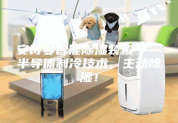 安诗曼智能除湿装置——半导体制冷技术，主动除湿！