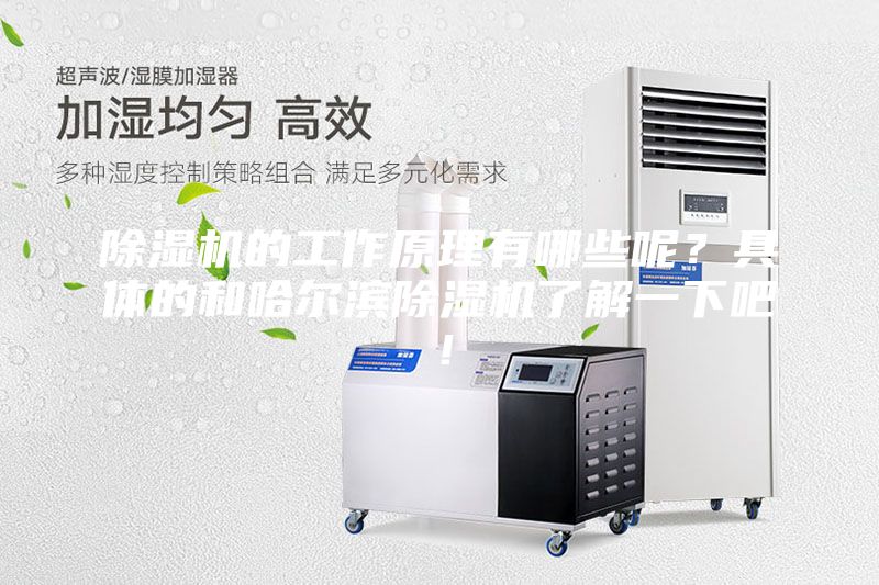 除湿机的工作原理有哪些呢？具体的和哈尔滨除湿机了解一下吧！