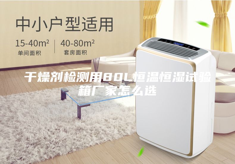干燥剂检测用80L恒温恒湿试验箱厂家怎么选