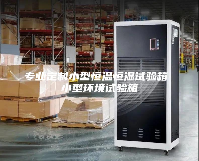 专业定制小型恒温恒湿试验箱 小型环境试验箱