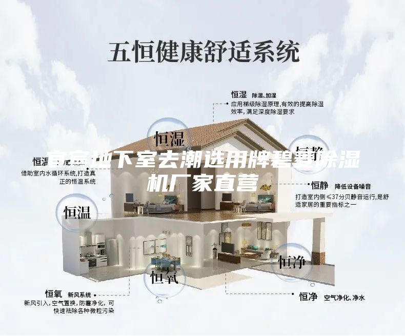 宜宾地下室去潮选用牌碧菱除湿机厂家直营