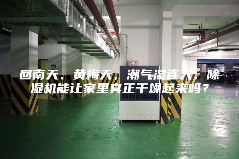 回南天、黄梅天，潮气湿连天：除湿机能让家里真正干燥起来吗？