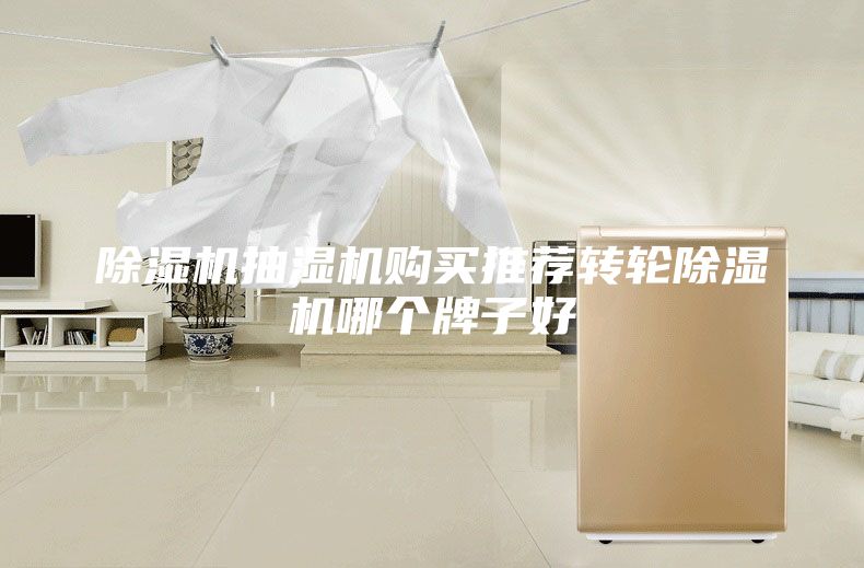 除湿机抽湿机购买推荐转轮除湿机哪个牌子好