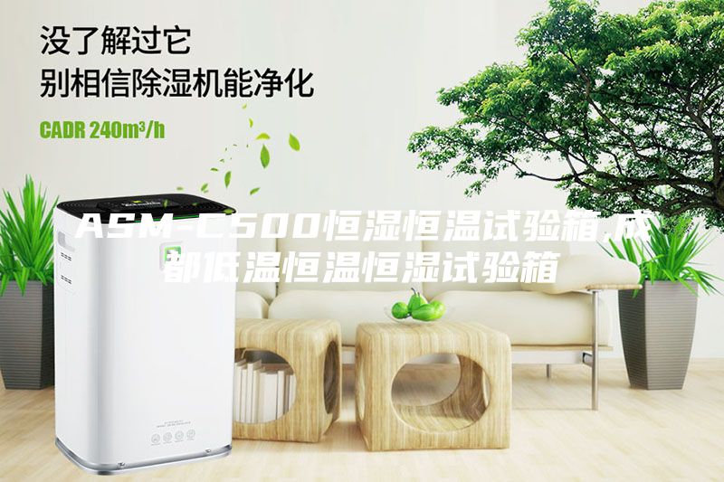 ASM-C500恒湿恒温试验箱,成都低温恒温恒湿试验箱