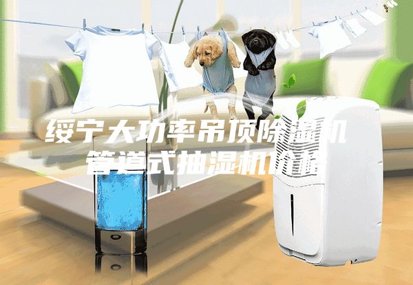 绥宁大功率吊顶除湿机 管道式抽湿机价格