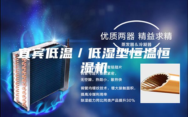宜宾低温／低湿型恒温恒湿机