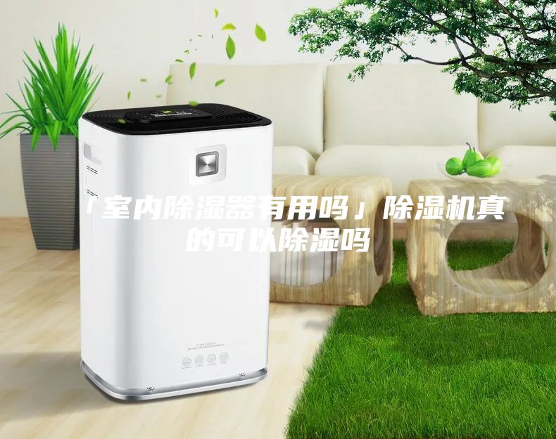 「室内除湿器有用吗」除湿机真的可以除湿吗