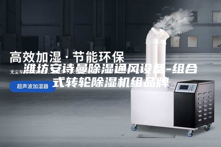 潍坊安诗曼除湿通风设备-组合式转轮除湿机组品牌