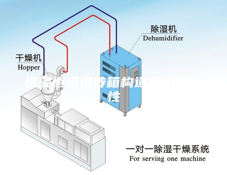 恒温恒湿培养箱构造及功能特性