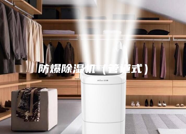 防爆除湿机（管道式）