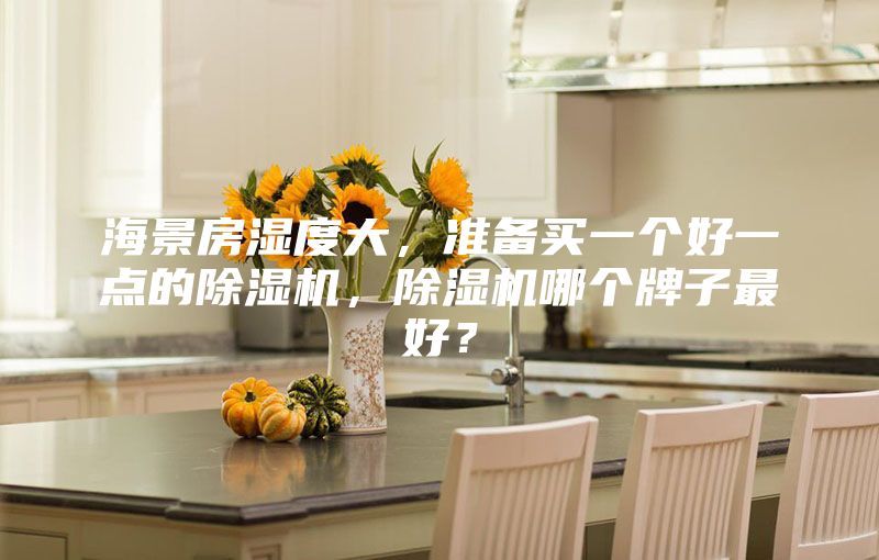 海景房湿度大，准备买一个好一点的除湿机，除湿机哪个牌子最好？