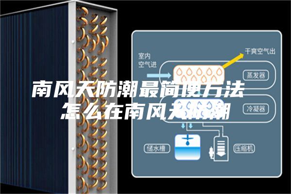 南风天防潮最简便方法 怎么在南风天防潮