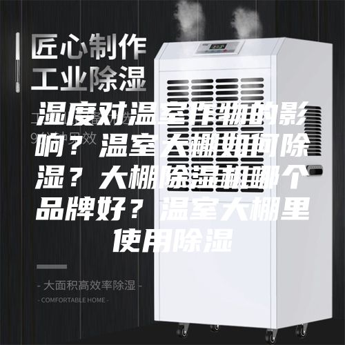 湿度对温室作物的影响？温室大棚如何除湿？大棚除湿机哪个品牌好？温室大棚里使用除湿