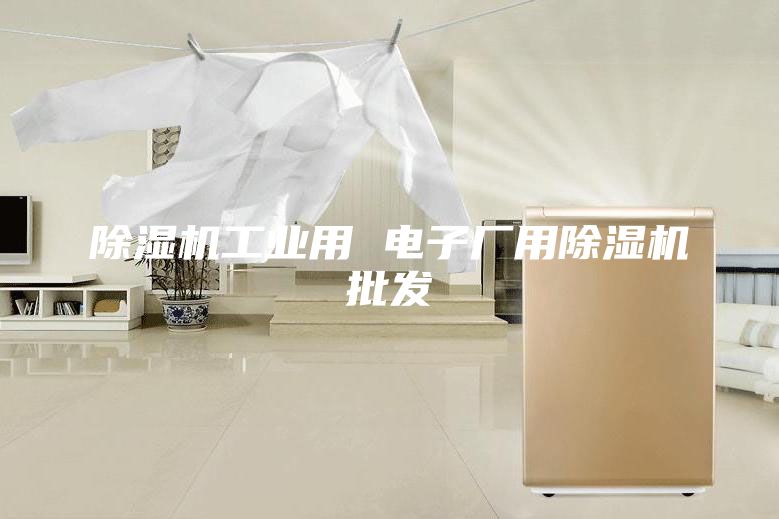 除湿机工业用 电子厂用除湿机批发