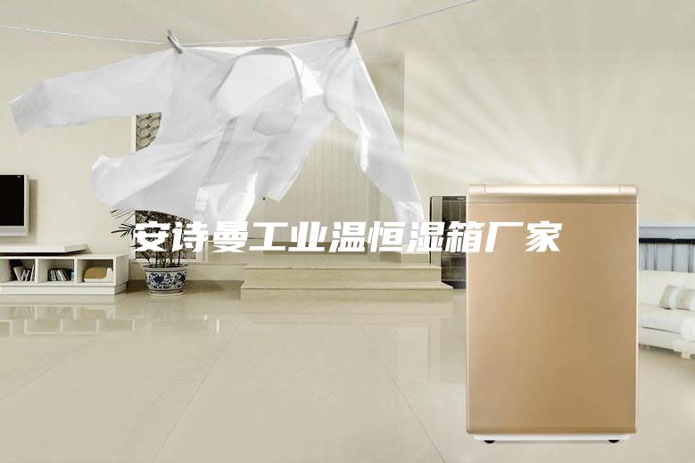 安诗曼工业温恒湿箱厂家