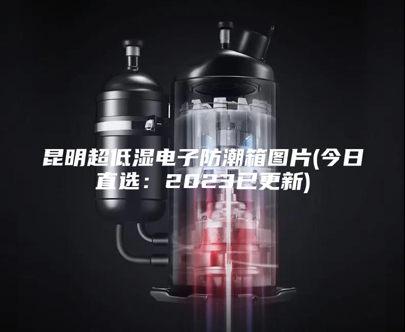 昆明超低湿电子防潮箱图片(今日直选：2023已更新)