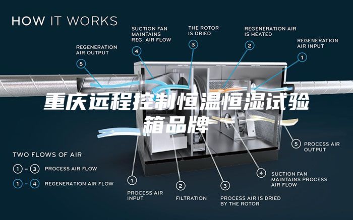 重庆远程控制恒温恒湿试验箱品牌