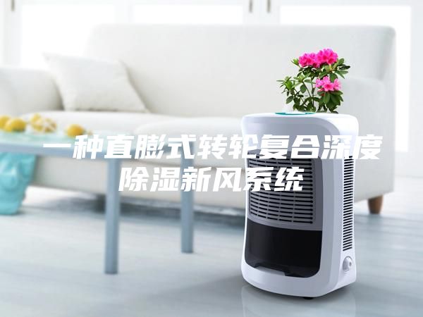 一种直膨式转轮复合深度除湿新风系统