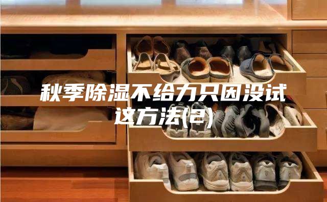 秋季除湿不给力只因没试这方法(2)