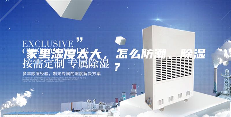 家里湿度太大，怎么防潮、除湿？