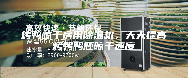 烤鸭晾干房用除湿机，大大提高烤鸭鸭胚晾干速度