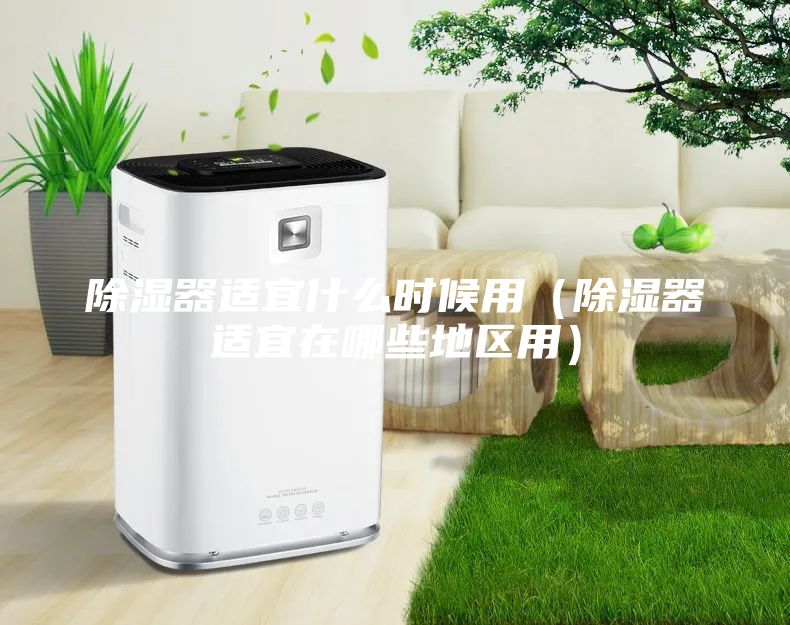 除湿器适宜什么时候用（除湿器适宜在哪些地区用）
