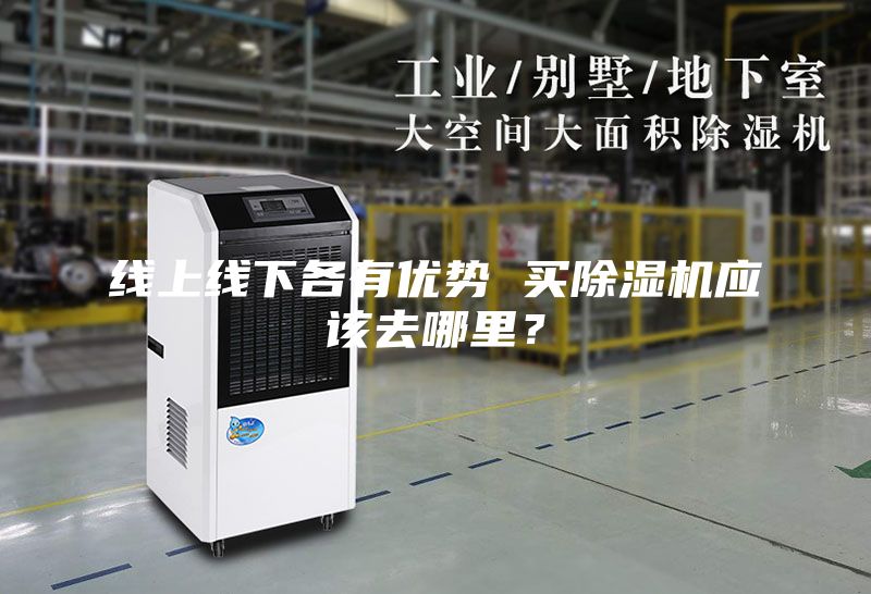 线上线下各有优势 买除湿机应该去哪里？