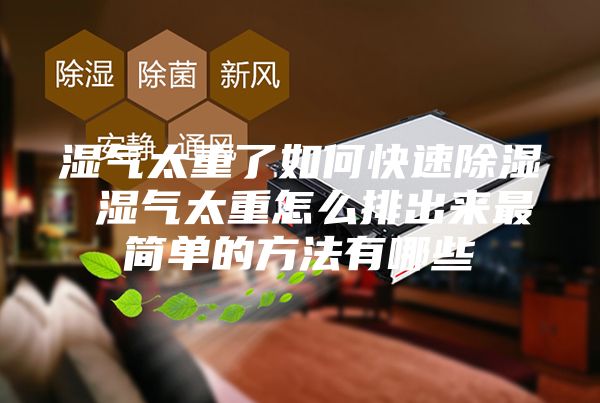 湿气太重了如何快速除湿 湿气太重怎么排出来最简单的方法有哪些