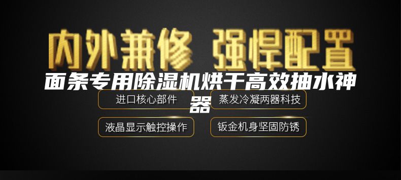 面条专用除湿机烘干高效抽水神器